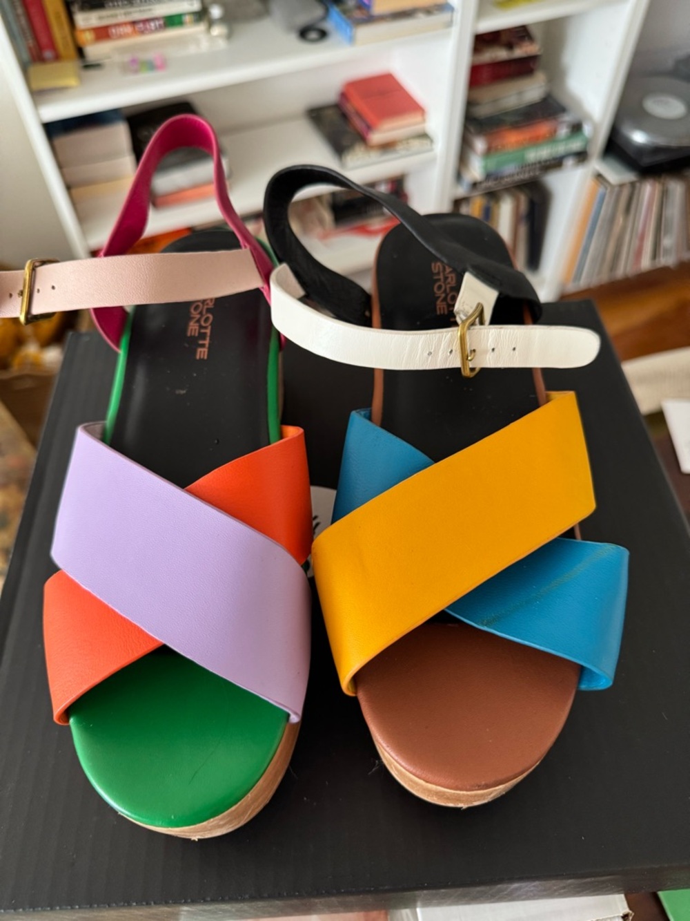 Charlotte Stone Colorblock Leather Platform Sandals - Multicolor